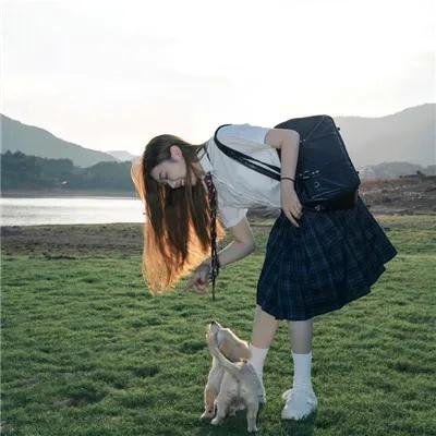 猎鹰的兄弟