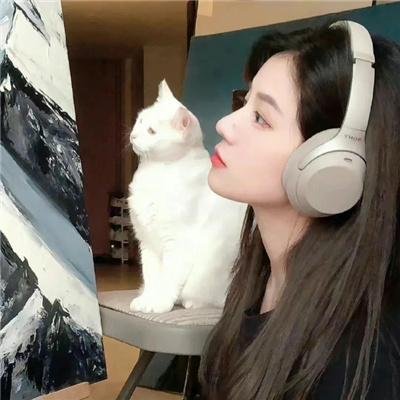 腊肠狗